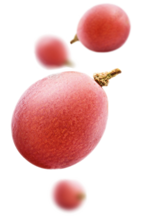 Uvas de la Bodega Hydria